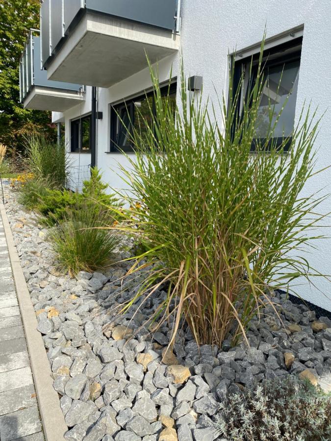 Rainer Appartements Besigheim Kültér fotó
