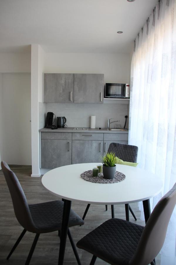 Rainer Appartements Besigheim Kültér fotó